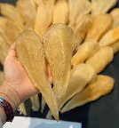 北海鳘鱼胶的型状(鳘鱼胶好还是黄花胶好)